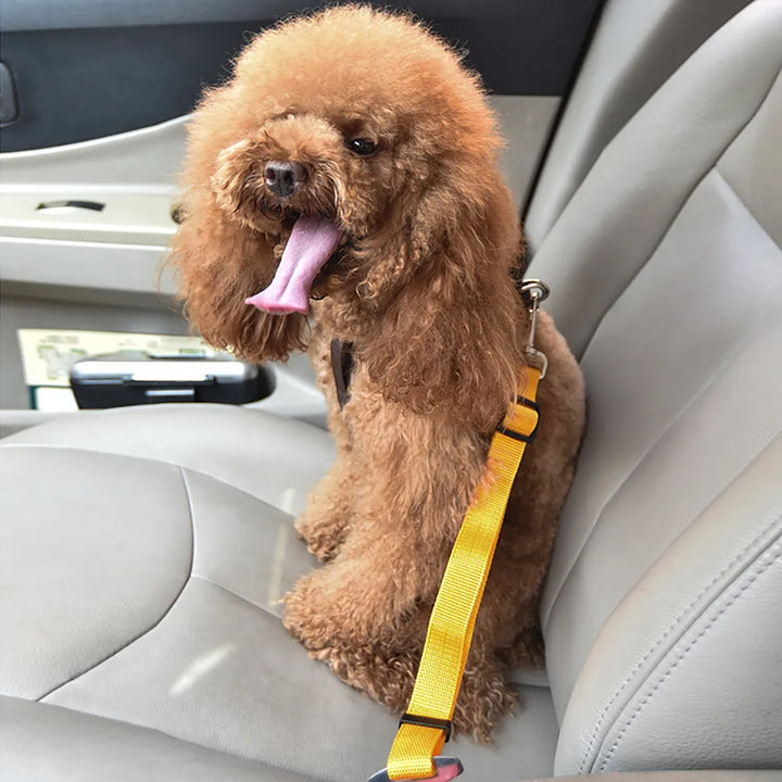 Dog Car Seat Belt